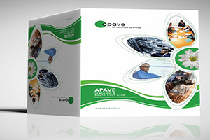 Thiet Ke Pano, Poster, Banner